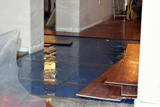 Professional Burst Pipe Cleanup technician working in Conway, MA